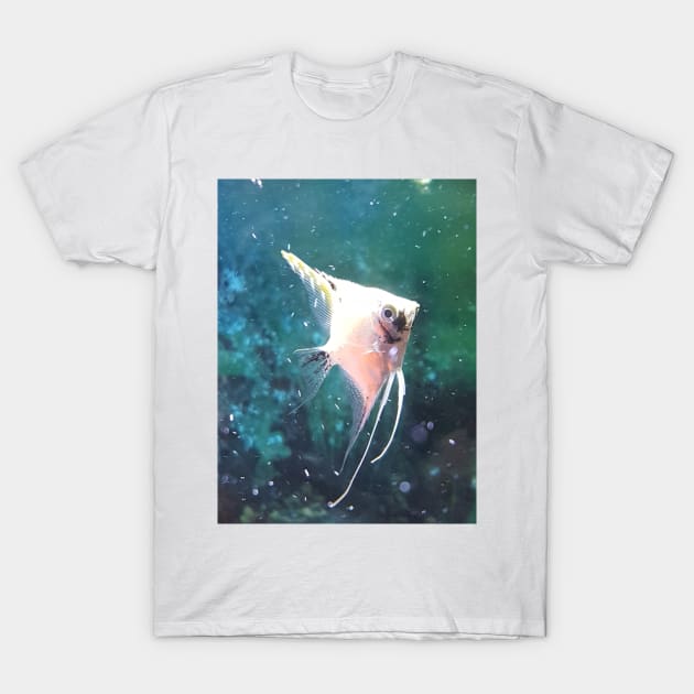 fish T-Shirt by Maul_Ftgr